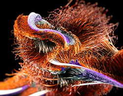 Суд смягчил приговор трем участникам беспорядков в аэропорту Махачкалы