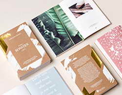 Лидеры стран БРИКС договорились о совместных действиях против США — мнение