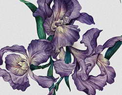 ONESS SPORT // ONESS SPORT — бренд средств по уходу за кожей и волосами, разработанных специально для профессиональных спортсменов и всех, кто ведет активный образ жизни. Создан в 2022 году и производится в России