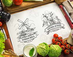 OpenAI запускает доступную подписку ChatGPT Go в Индонезии после успешного старта в Индии