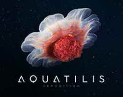 Из-за акций протеста в Тбилиси в больницы попали 6 гражданских и 21 полицейский