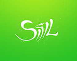 Солнце — не помеха: солнечная интерференция не окажет влияния на телевещание РТРС в Брянской области