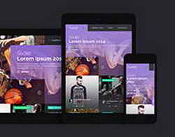 «Единая Россия» решила приостановить членство мэра Владимира