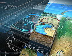 Депутат допустил использование лошадей на СВО