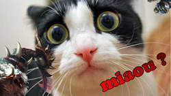 Случаи лишения стран права проведения крупных спортивных соревнований