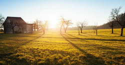 Российские доходы с экспорты нефти упали в августе на 6,4%