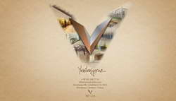 Экоактивисты с помощью химиката окрасили Гранд-канал Венеции в зеленый цвет